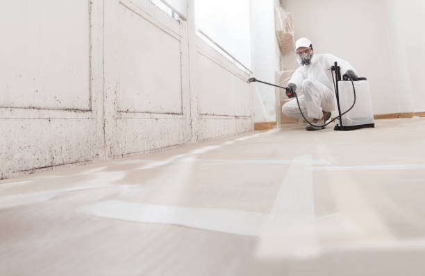 24/7 Emergency Mold Remediation experts in Weston, FL